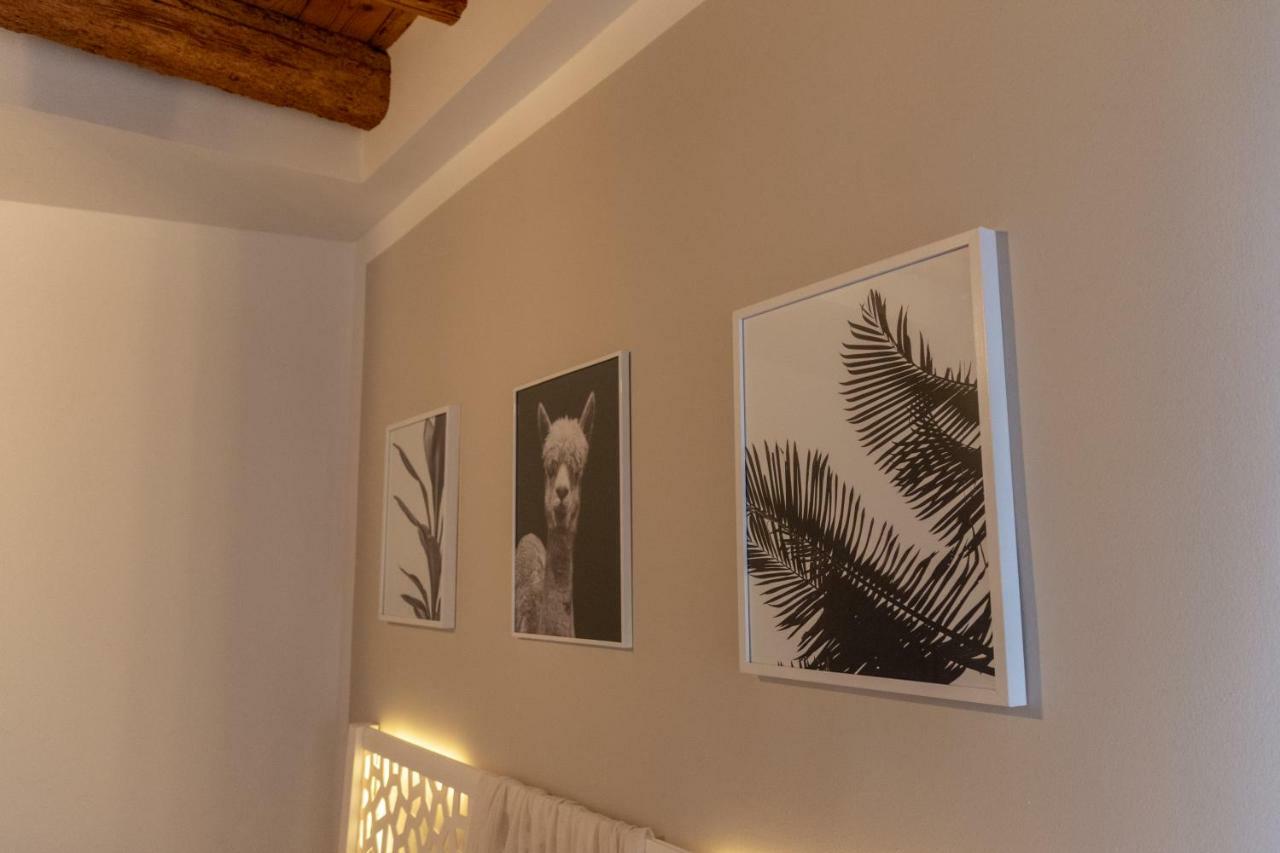 דירות בסאנו דל גראפה La Casa Di Bassano מראה חיצוני תמונה